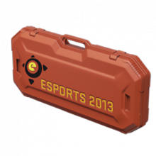 Кейс eSports 2013