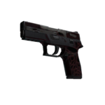 StatTrak™ P250 | Загрязнитель 