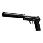 StatTrak™ USP-S | Билет в ад 