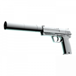 USP-S | Снежная мгла 