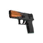 StatTrak™ P250 | Пятно 